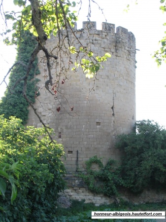 Les châteaux de villages de l'Albigeois